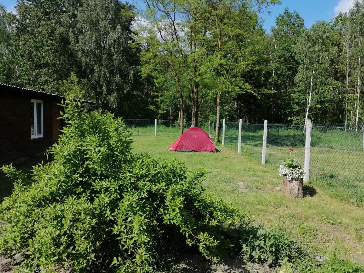 Agroturystyka Pod Dobrymi Skrzydlami Wiski Kültér fotó